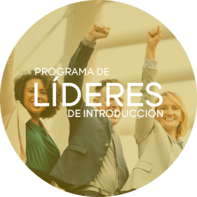 Líderes de Introducción