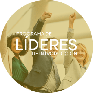 Líderes de Introducción