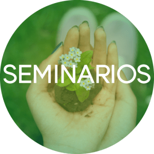 Seminarios